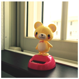 kuma.jpg